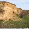 vane cardui biotope1 kher